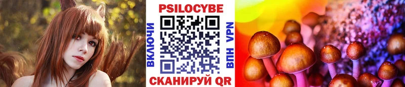 продажа наркотиков  МЕГА зеркало  даркнет Telegram  Юрьевец  Псилоцибиновые грибы прущие грибы 